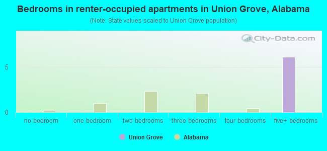 Bedrooms in renter-occupied apartments in Union Grove, Alabama