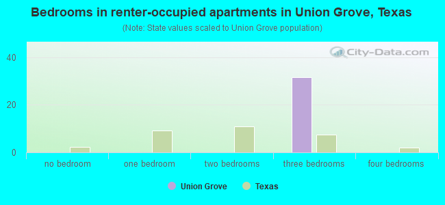 Bedrooms in renter-occupied apartments in Union Grove, Texas