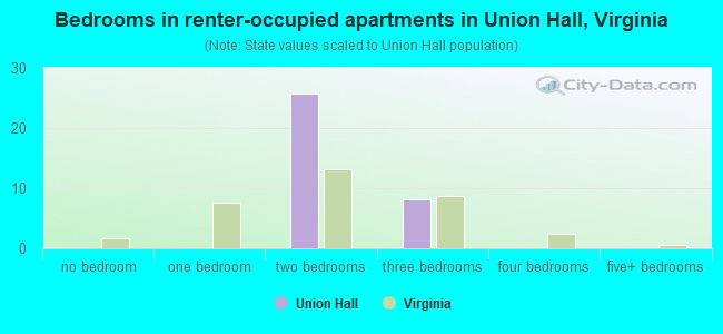Bedrooms in renter-occupied apartments in Union Hall, Virginia