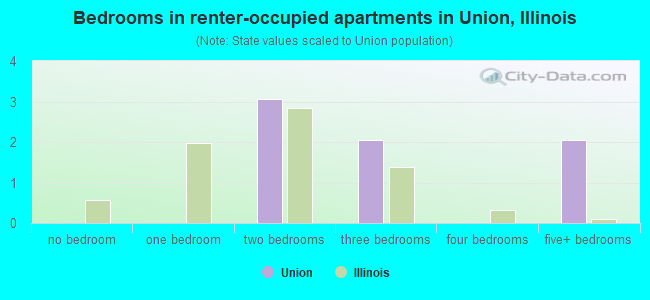 Bedrooms in renter-occupied apartments in Union, Illinois