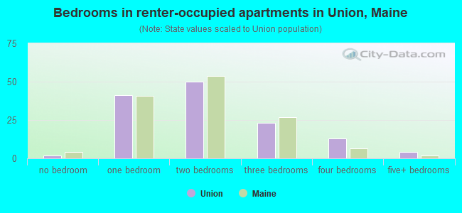 Bedrooms in renter-occupied apartments in Union, Maine