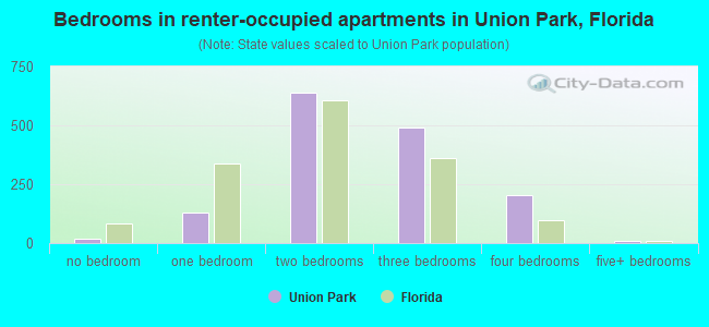 Bedrooms in renter-occupied apartments in Union Park, Florida