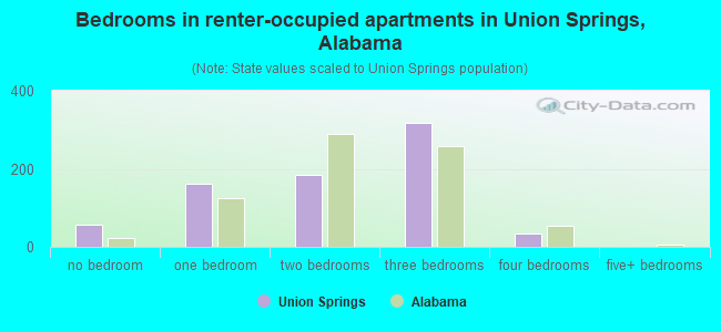 Bedrooms in renter-occupied apartments in Union Springs, Alabama