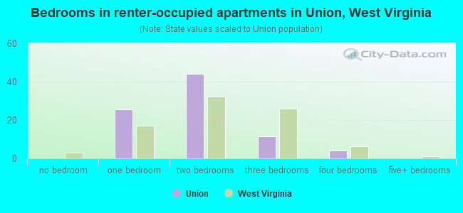 Bedrooms in renter-occupied apartments in Union, West Virginia