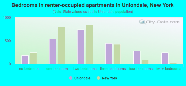 Bedrooms in renter-occupied apartments in Uniondale, New York