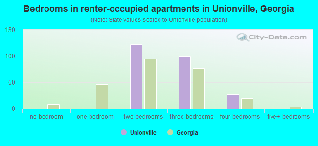 Bedrooms in renter-occupied apartments in Unionville, Georgia