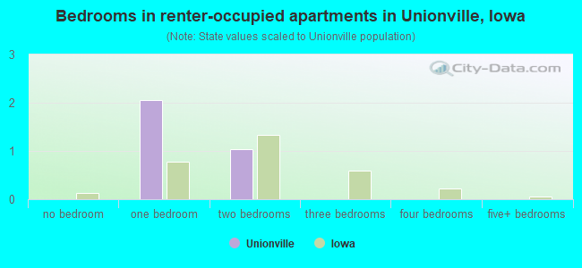 Bedrooms in renter-occupied apartments in Unionville, Iowa
