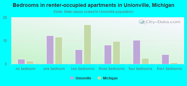 Bedrooms in renter-occupied apartments in Unionville, Michigan