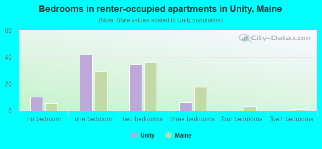 Bedrooms in renter-occupied apartments in Unity, Maine