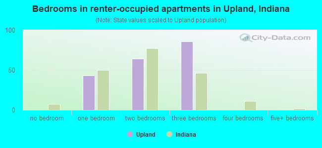 Bedrooms in renter-occupied apartments in Upland, Indiana
