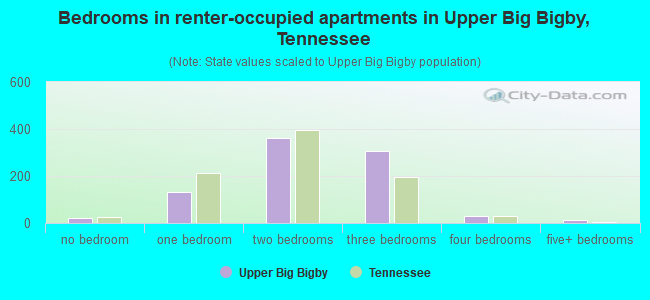 Bedrooms in renter-occupied apartments in Upper Big Bigby, Tennessee