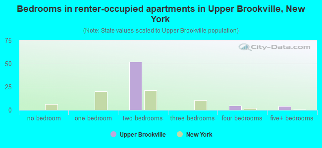 Bedrooms in renter-occupied apartments in Upper Brookville, New York