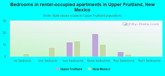 Bedrooms in renter-occupied apartments in Upper Fruitland, New Mexico