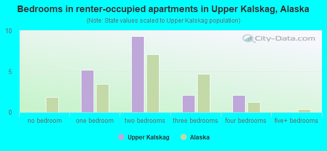 Bedrooms in renter-occupied apartments in Upper Kalskag, Alaska