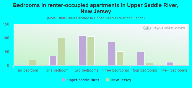 Bedrooms in renter-occupied apartments in Upper Saddle River, New Jersey