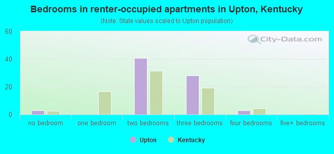 Bedrooms in renter-occupied apartments in Upton, Kentucky