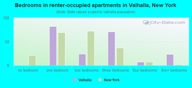 Bedrooms in renter-occupied apartments in Valhalla, New York