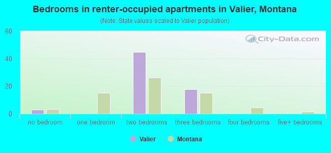 Bedrooms in renter-occupied apartments in Valier, Montana