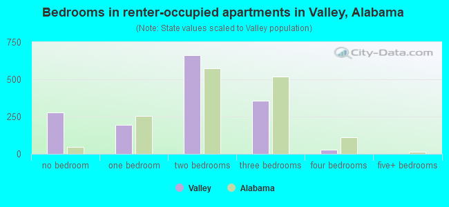 Bedrooms in renter-occupied apartments in Valley, Alabama