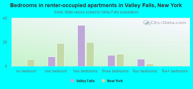 Bedrooms in renter-occupied apartments in Valley Falls, New York