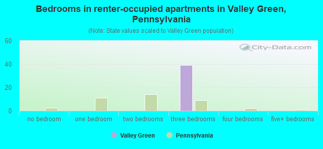 Bedrooms in renter-occupied apartments in Valley Green, Pennsylvania