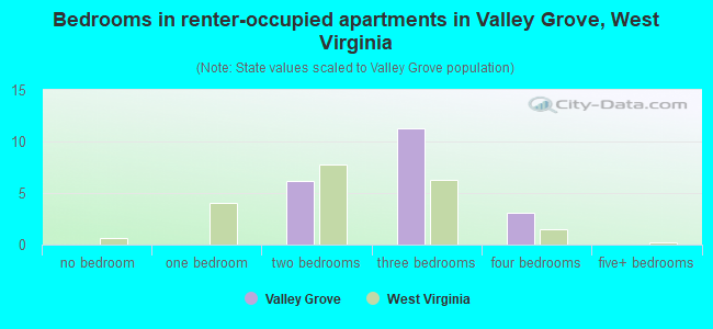 Bedrooms in renter-occupied apartments in Valley Grove, West Virginia