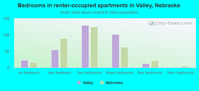 Bedrooms in renter-occupied apartments in Valley, Nebraska