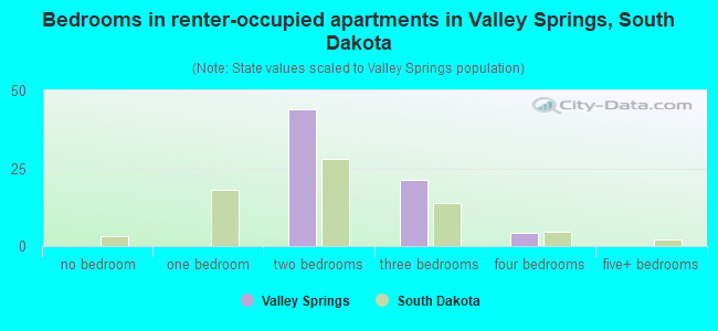 Bedrooms in renter-occupied apartments in Valley Springs, South Dakota