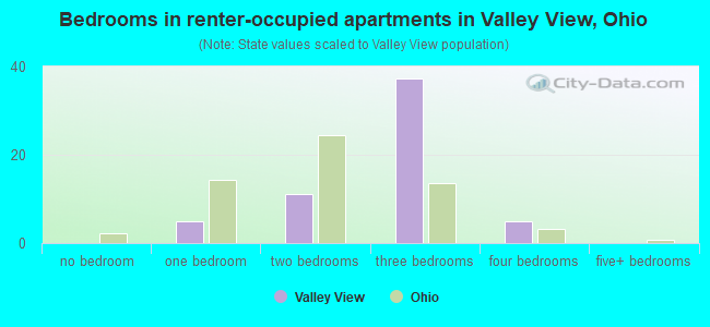 Bedrooms in renter-occupied apartments in Valley View, Ohio