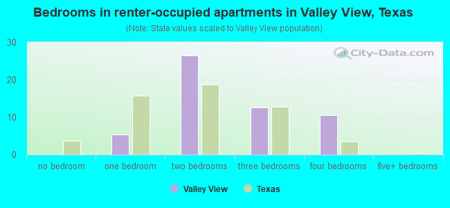Bedrooms in renter-occupied apartments in Valley View, Texas