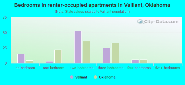 Bedrooms in renter-occupied apartments in Valliant, Oklahoma