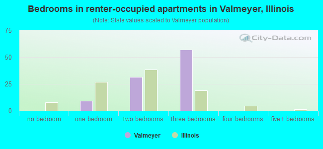 Bedrooms in renter-occupied apartments in Valmeyer, Illinois