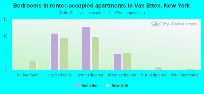 Bedrooms in renter-occupied apartments in Van Etten, New York