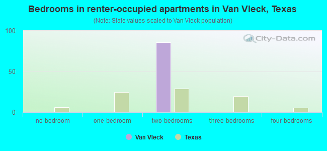 Bedrooms in renter-occupied apartments in Van Vleck, Texas
