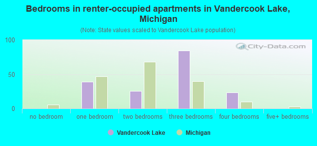 Bedrooms in renter-occupied apartments in Vandercook Lake, Michigan