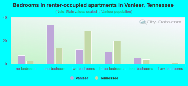 Bedrooms in renter-occupied apartments in Vanleer, Tennessee