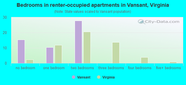 Bedrooms in renter-occupied apartments in Vansant, Virginia