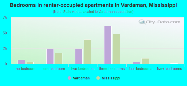 Bedrooms in renter-occupied apartments in Vardaman, Mississippi