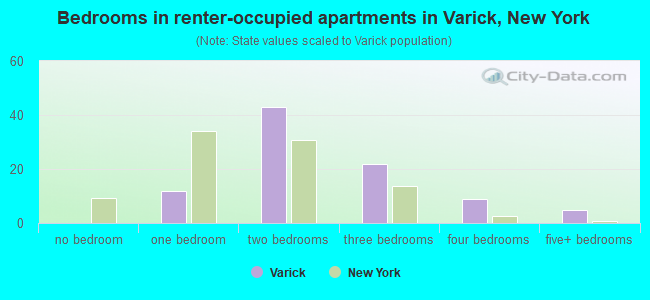 Bedrooms in renter-occupied apartments in Varick, New York