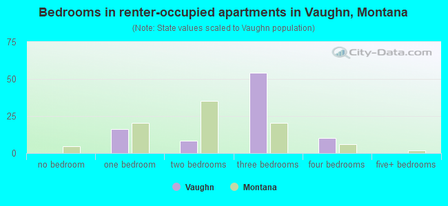 Bedrooms in renter-occupied apartments in Vaughn, Montana