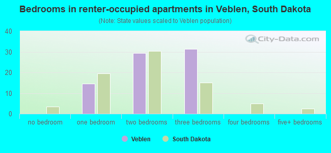 Bedrooms in renter-occupied apartments in Veblen, South Dakota