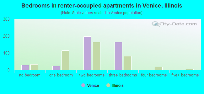 Bedrooms in renter-occupied apartments in Venice, Illinois