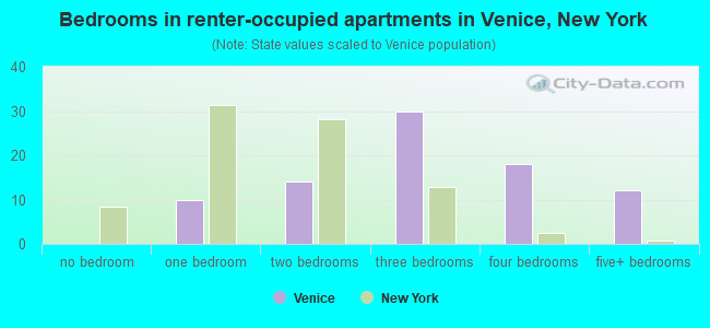 Bedrooms in renter-occupied apartments in Venice, New York