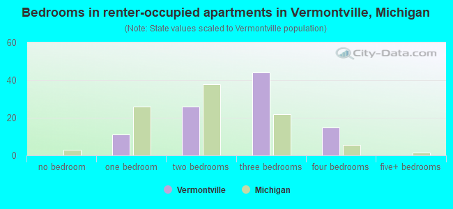 Bedrooms in renter-occupied apartments in Vermontville, Michigan