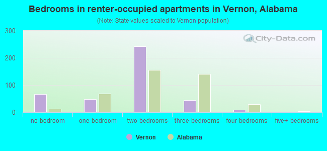 Bedrooms in renter-occupied apartments in Vernon, Alabama