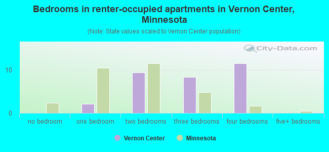 Bedrooms in renter-occupied apartments in Vernon Center, Minnesota