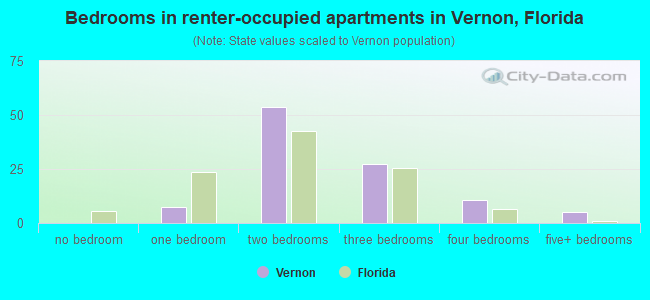 Bedrooms in renter-occupied apartments in Vernon, Florida