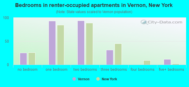 Bedrooms in renter-occupied apartments in Vernon, New York