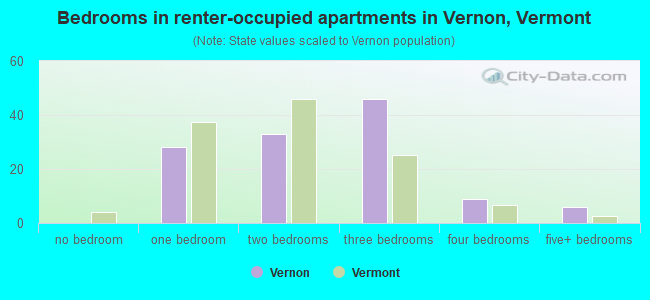 Bedrooms in renter-occupied apartments in Vernon, Vermont