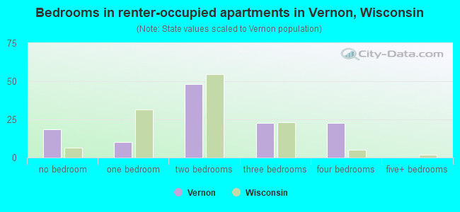 Bedrooms in renter-occupied apartments in Vernon, Wisconsin